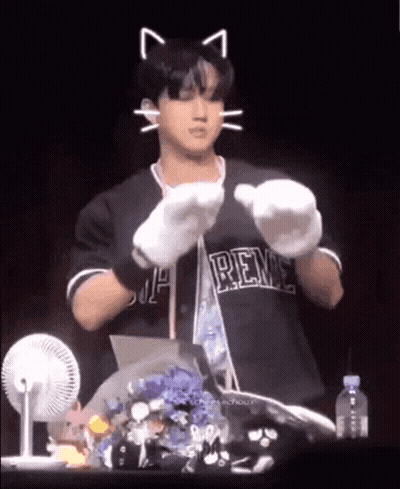Man With Gloves And Renee Shirt GIF