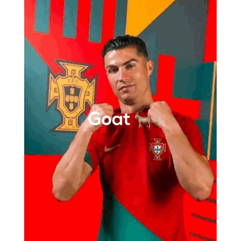 Man With Goat Shirt In Front Of Flag Sticker