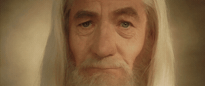 Man With Gray Hair And Beard Looking At Camera GIF