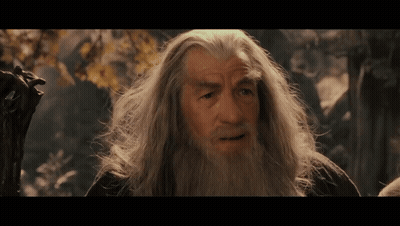 Man With Gray Hair And Beard Looking At Camera GIF