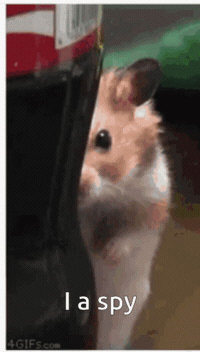 Man With Gray Hair And Mustache GIF