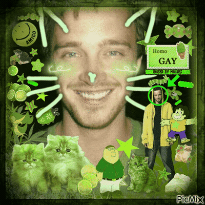 Man With Green Cats And Homo Gay Sign GIF