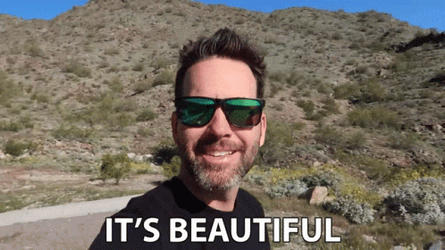 Man With Green Sunglasses It's Beautiful GIF