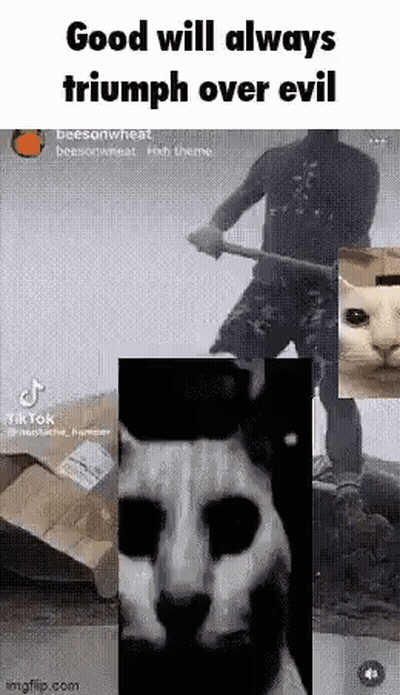 Man With Hammer, Cat, And Box GIF
