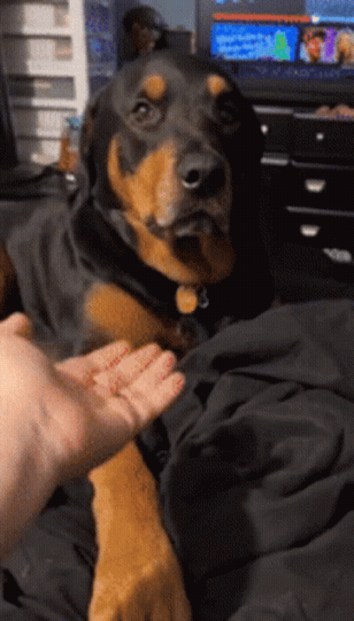 Man With Hat The From Woo Tang Clan GIF