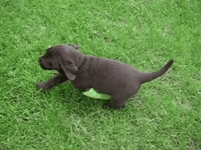 Man With Head Bandage Talking On Phone GIF