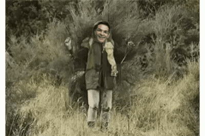 Man With Head In Tall Grass GIF