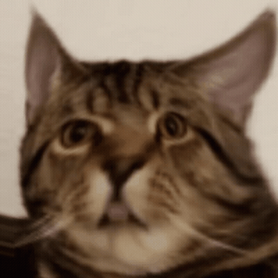 Man With Headphones I Już Do Pokuatuly GIF
