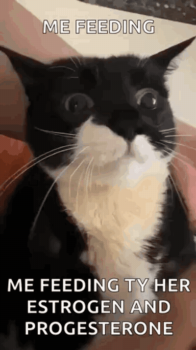 Man With Headphones Says Oh God Please Stop It GIF