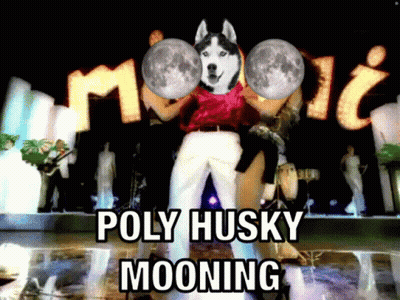 Man With Husky On Head Dancing In Front Of Poly Husky Mooning Sign GIF