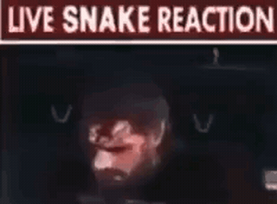 Man With Live Snake Reaction Sign GIF