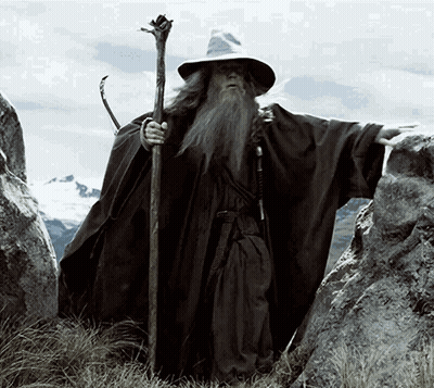 Man With Long Beard And Hat Holding Cane GIF