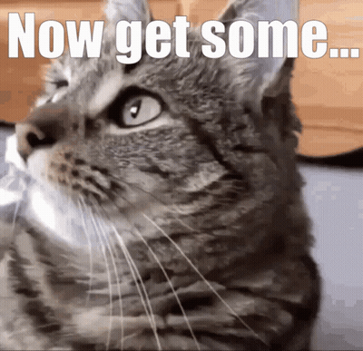 Man With Long Blonde Hair And Beard Making Face GIF