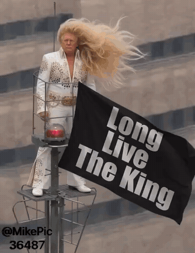 Man With Long Blonde Hair Holding Long Live The King Flag GIF