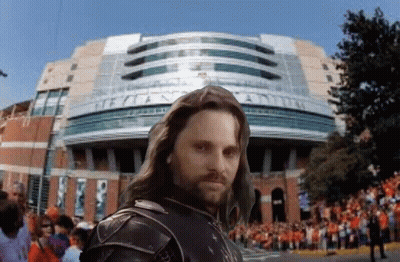 Man With Long Hair And Beard At Texas Capital Stadium GIF
