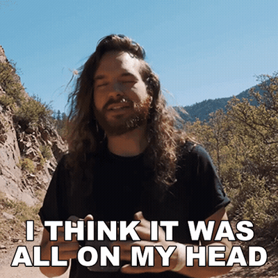 Man With Long Hair And Beard Saying I Think It Was All On My Head GIF