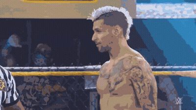Man With Mohawk In Boxing Ring With Referee GIF