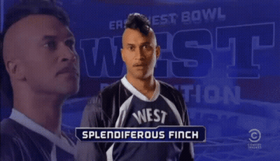 Man With Mohawk Wearing West Jersey GIF