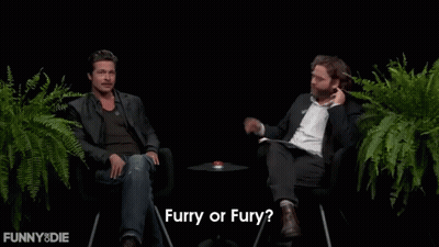 Man With Mustache Asking Furry Or Fury GIF