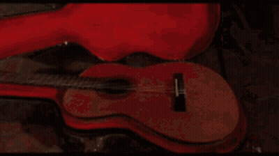 Man With Mustache By Shelf Of Alcohol Bottles GIF