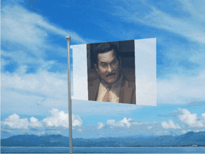 Man With Mustache On Flag GIF