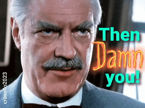 Man With Mustache Saying Then Damn You GIF