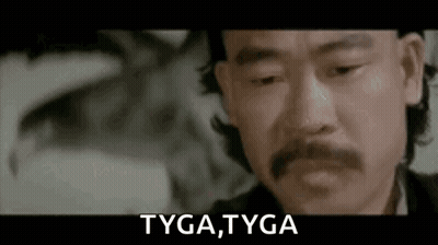 Man With Mustache Saying Tyga GIF