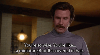 Man With Mustache Saying You're So Wise GIF