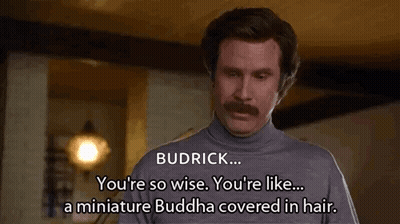 Man With Mustache Saying You're So Wise GIF