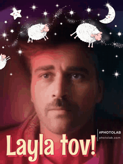 Man With Mustache Surrounded By Sheep Layla Tov GIF