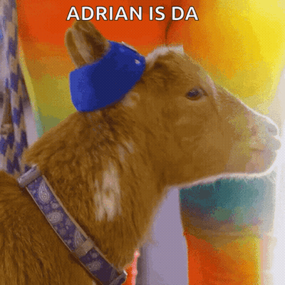 Man With Name Adrian Above Him GIF