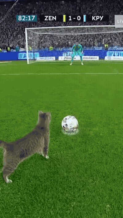 Man With Oakley Headband In Front Of Crowd GIF