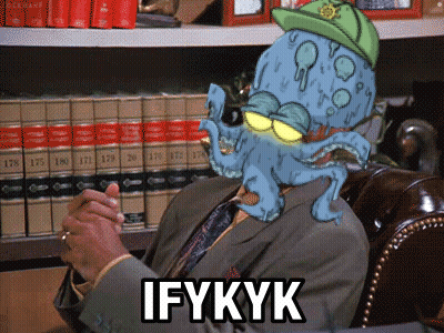 Man With Octopus On Head Saying Ifykyk GIF