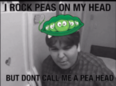 Man With Peas On Head Says I Rock Peas On My Head But Don't Call Me A Pea Head GIF