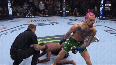 Man With Pink Hair Kneeling In Boxing Match GIF