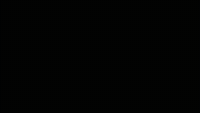 Man With Pumpkin Head In Cemetery With Black Cats GIF