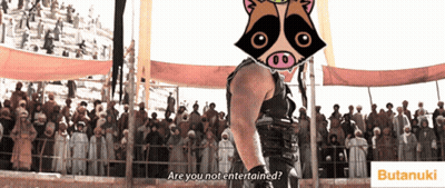 Man With Raccoon On Head Says Are You Not Entertained GIF