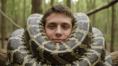 Man With Snake Around Head Looking At Camera GIF