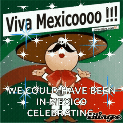 Man With Sombrero And Mustache Says Viva Mexicoooo GIF