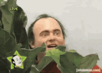 Man With Star On Head Surrounded By Leaves And Leve Sign GIF