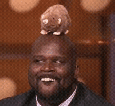 Man With Stuffed Animal On Head Smiling GIF