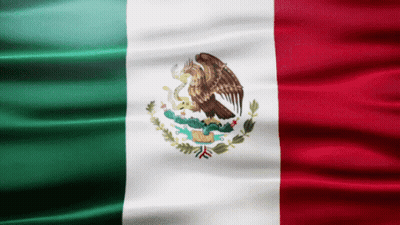 Man With Sunglasses And Wig Mexican Flag GIF
