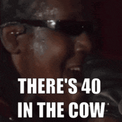 Man With Sunglasses Saying There's 40 In The Cow GIF
