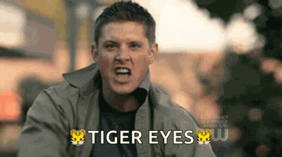 Man With Tiger Eyes On Jacket GIF