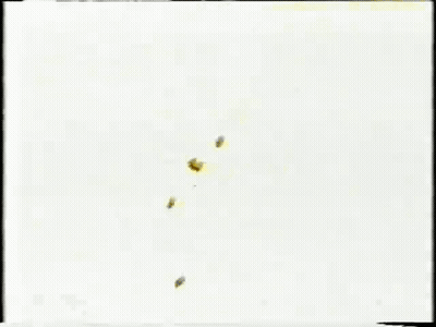 Man With Towel Making Funny Face GIF