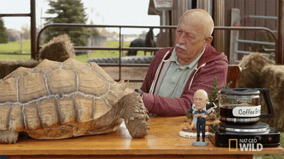 Man With Turtle And Coffee Envy Pot GIF