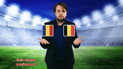 Man With Two Flags And Emile Aleman Stadium GIF
