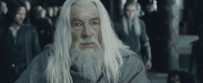 Man With White Hair And Beard Standing Before Crowd GIF