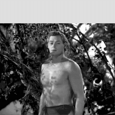 Man Without Shirt Standing In Woods GIF