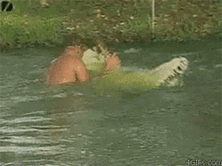 Man Wrestling With Crocodile